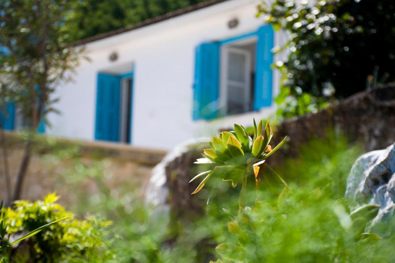 The Olive Cottage - Ithaca Vathy (Ithaca) Exterior foto